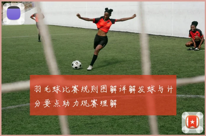 羽毛球比赛规则图解详解发球与计分要点助力观赛理解