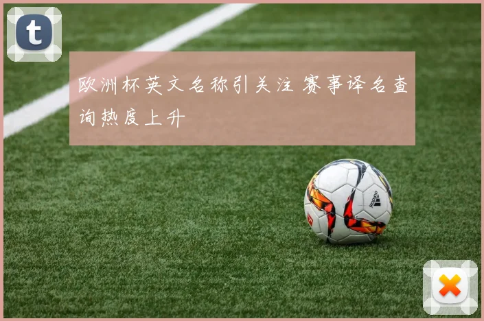 欧洲杯英文名称引关注 赛事译名查询热度上升