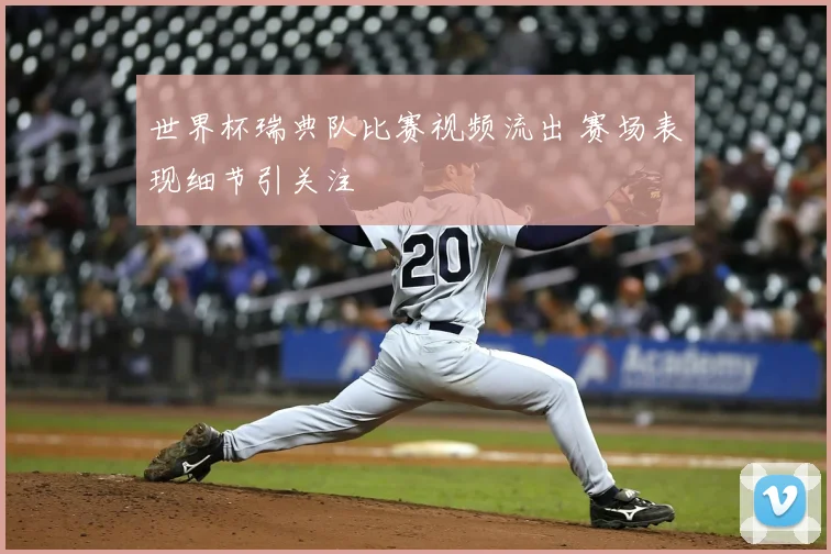 世界杯瑞典队比赛视频流出 赛场表现细节引关注